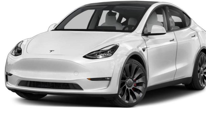 TESLA MODEL Y 2021 5YJYGDEE5MF129627 image